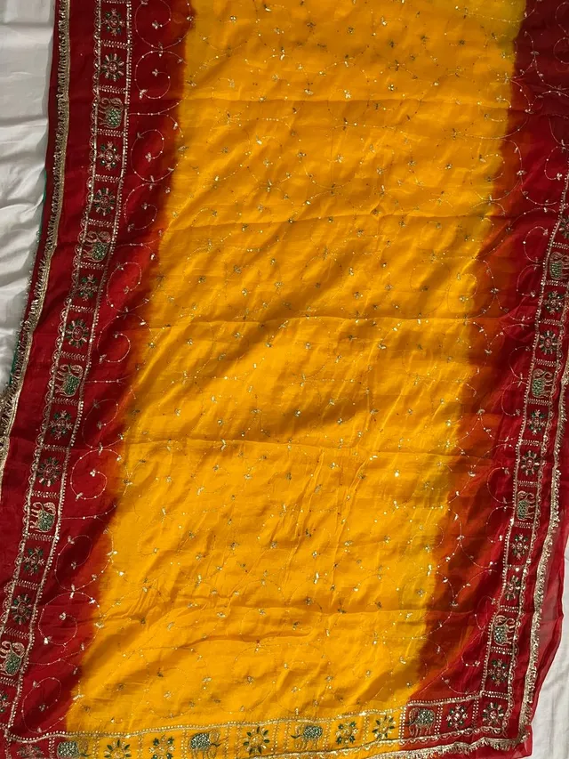 Rajputi Darbari Saree – Royal Heritage Collection - View 2