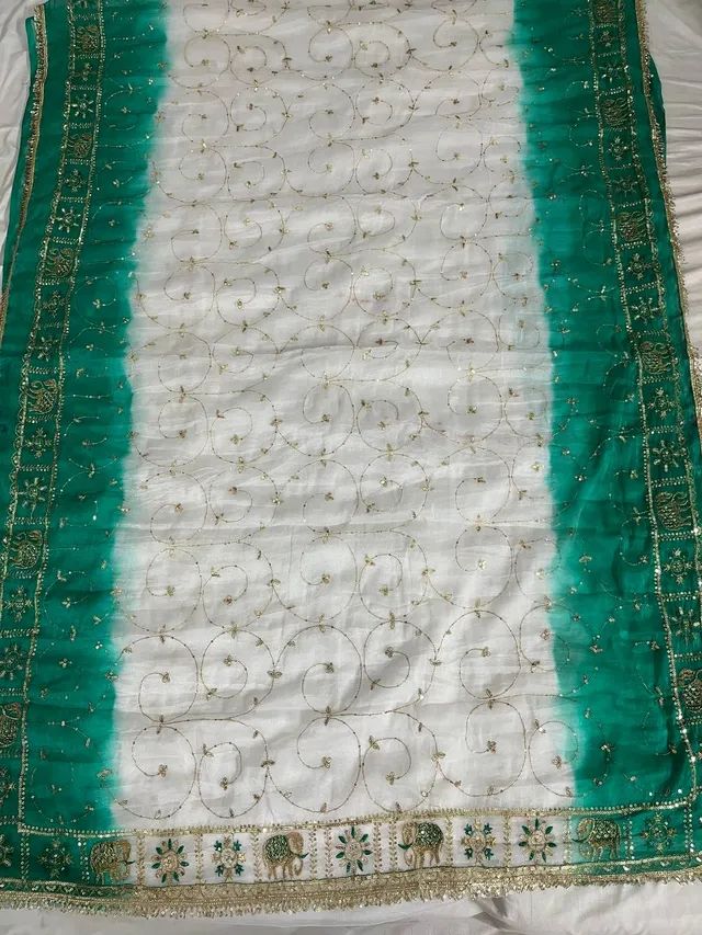 Rajputi Darbari Saree - Heritage Collection - View 2