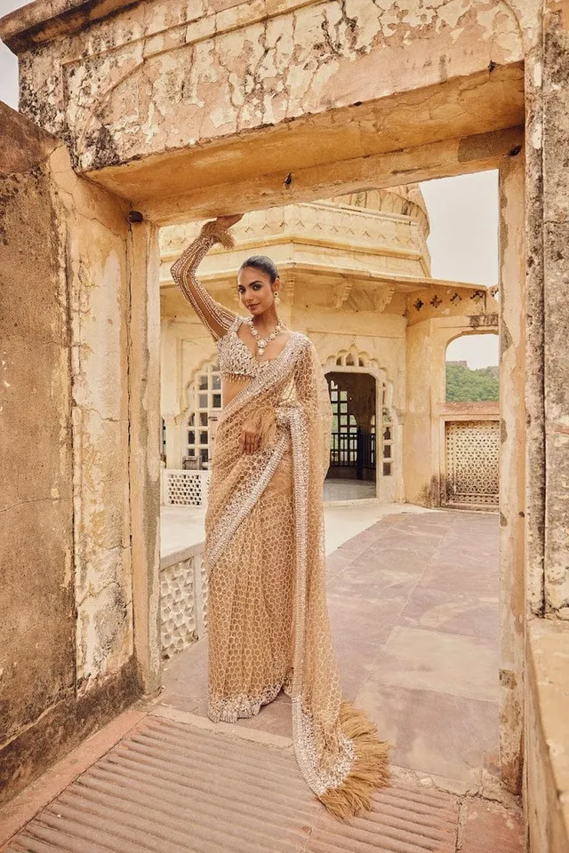 Bollywood Blockbuster Butterfly Net Sequins Saree – Glam Party Collection - View 4