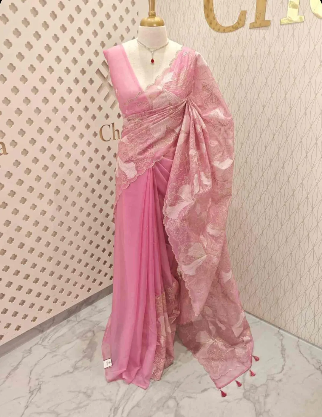 Banarasi Soft Organza Chikankari Silk Saree - View 3